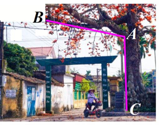 Hình minh họa câu hỏi
